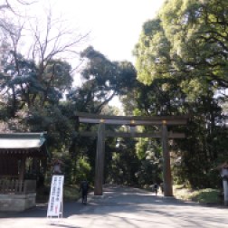 Entrance to Meji Shrine.